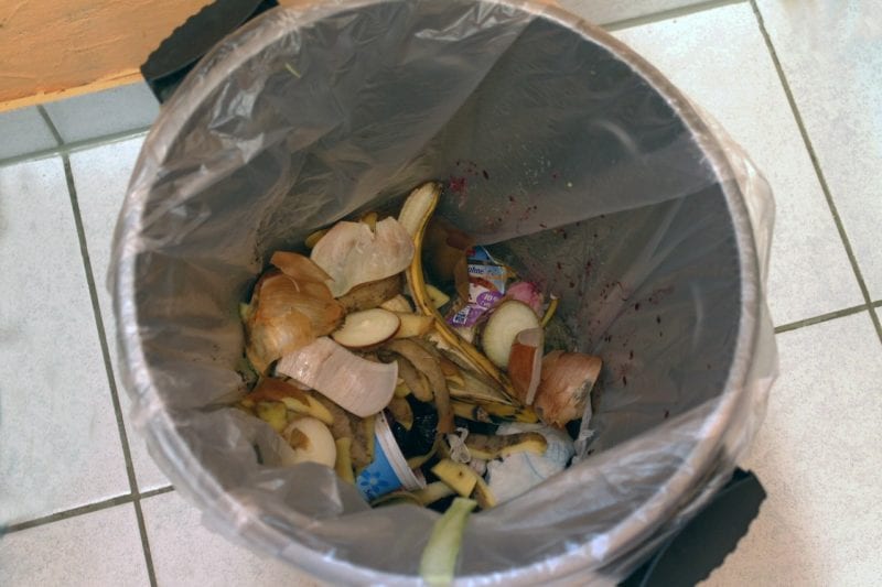 Fruchtfliegen vorbeugen - Hausmüll