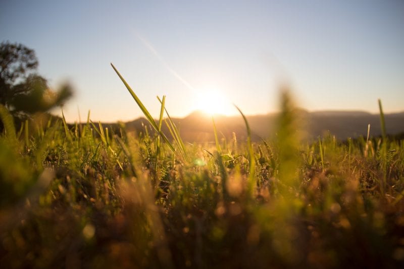 60+ Rasen Sprengen Bei Sonnenschein, Es ist ein weit verbreiteter