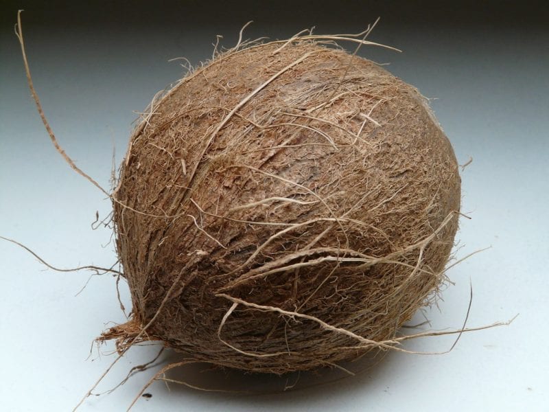 Kokosfasern