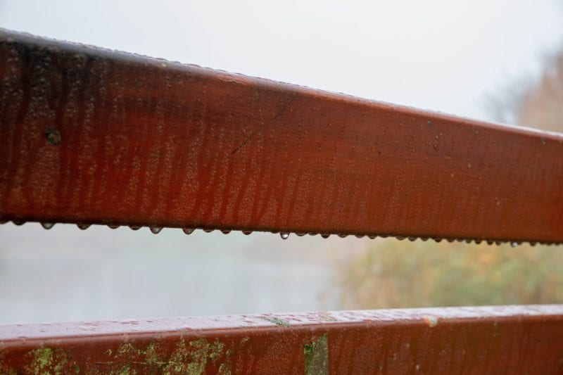 Holzmöbel Regen