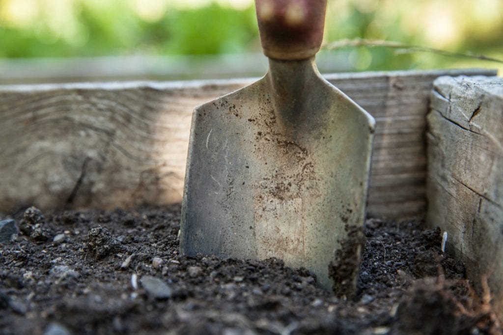 Is Humus Soil Good For Vegetable Garden?