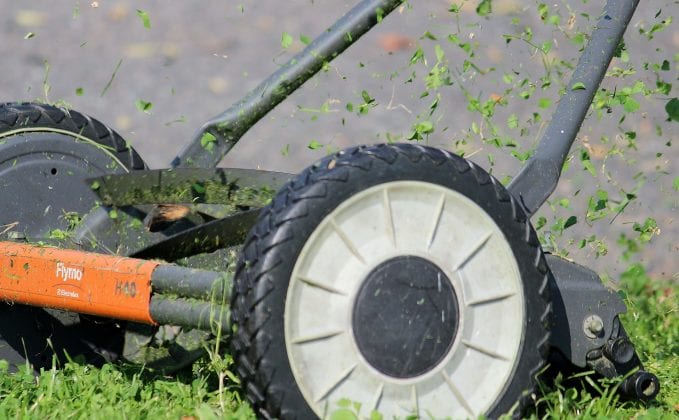 Müssen Sie beim Rasenmähen eine Mittagsruhe einhalten?