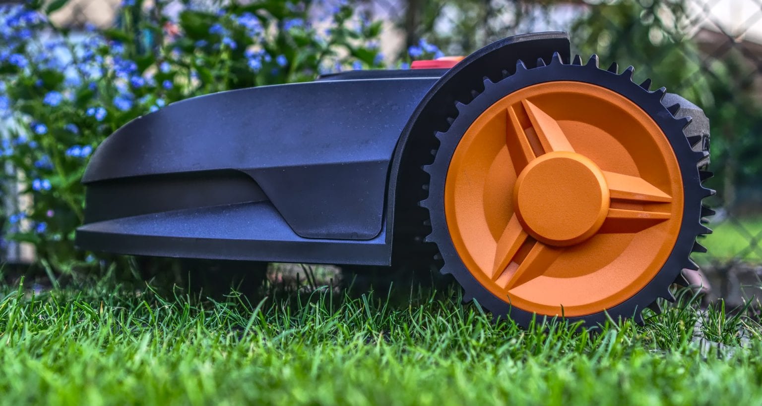 Mähroboter Wie Oft Mähen