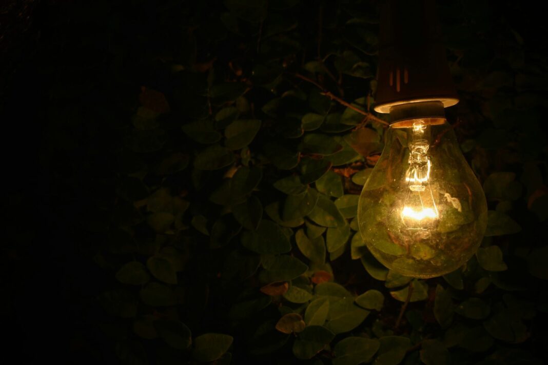 turned on lamp near green plants